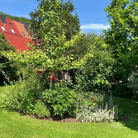 Iflands Hof *