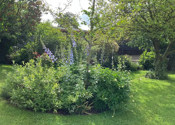 Iflands Hof * Brehme