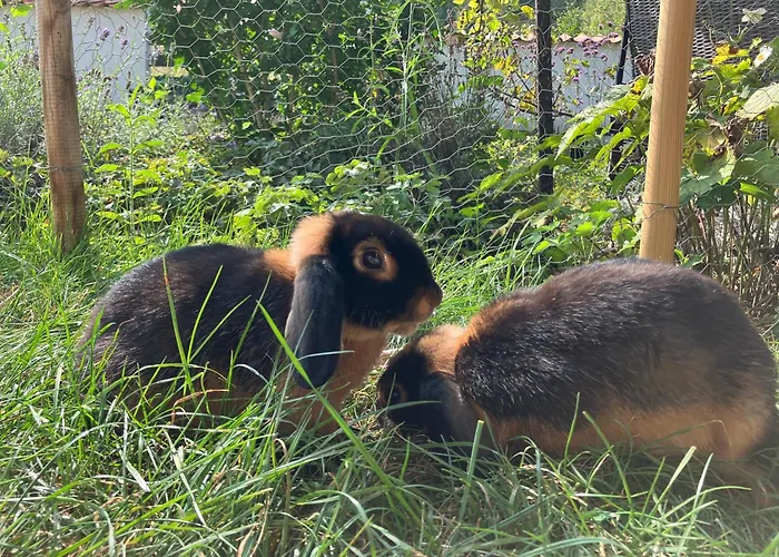 Iflands Hof Appartamento Brehme