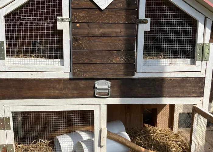 Iflands Hof * Brehme